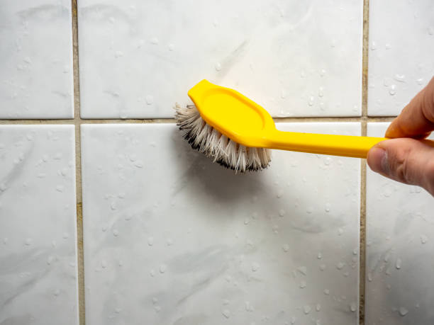 Best Professional Mold Removal  in Waynesville, OH