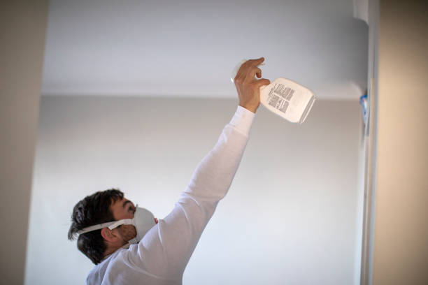 Best Best Mold Removal Companies  in Waynesville, OH