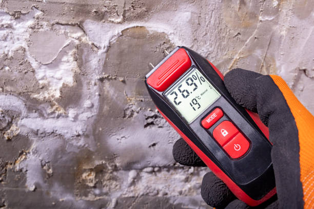 Best Best Mold Removal Companies  in Waynesville, OH
