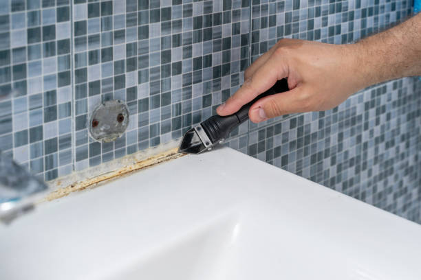Best Office Mold Removal Services  in Waynesville, OH